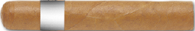 Robusto